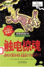 可怕的科学 触电惊魂