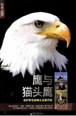 鹰与猫头鹰