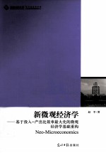 新微观经济学 基于投入-产出比效率最大化的微观经济学基础重构