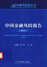 中国金融风险报告 2015