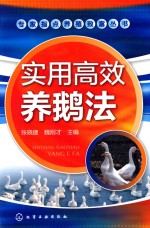 专家指点养殖致富丛书 实用高效养鹅法