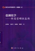 现代化学专著系列 典藏版 42 盐湖化学 新类型硼锂盐湖