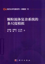 现代化学专著系列 典藏版 19 颗粒流体复杂系统的多尺度模拟