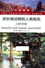 史前地球 灵长类动物和人类祖先 上新世时期
