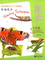 昆虫 绘画技法