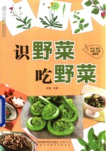 识野菜 吃野菜 汉竹