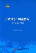 宁波建设蔚蓝智谷目标与路径