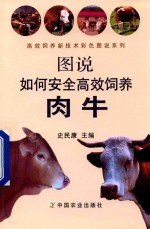 高校饲养新技术彩色图说系列 图说如何安全高效饲养肉牛