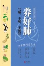 养好肺 气顺、不咳、不感冒