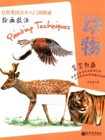 动物 绘画技法