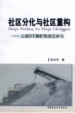 社区分化与社区重构 云南DY铜矿的变迁研究