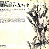 名家写生 陈鹏花鸟写生