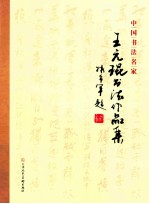 中国书法名家 王元琨书法作品集