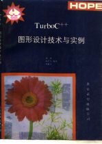 Turbo C++图形设计技术与实例