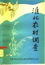 淮北农村调查