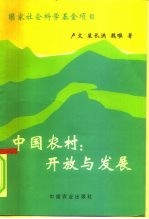 中国农村:开放与发展