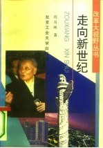 走向新世纪