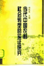 当代中国农村社会转型的实证研究