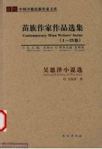 吴恩泽小说选