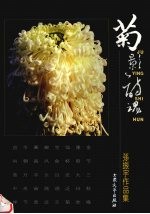 菊影诗魂 孙振宇作品集