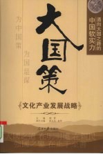 大国策 通向大国之路的中国软实力 文化产业发展战略