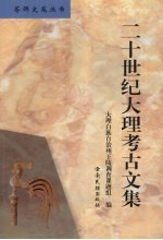 20世纪大理考古文集