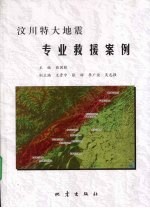 汶川特大地震专业救援案例