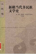 新疆当代多民族文学史 1 小说卷