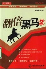 翻倍黑马 2