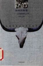 诗性的智慧 云南民族文学