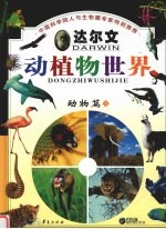 达尔文动植物世界 3 动物篇 上