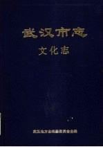 武汉市志 22 文化志