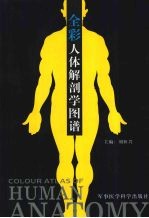 全彩人体解剖学图谱