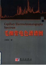 毛细管电色谱谱图