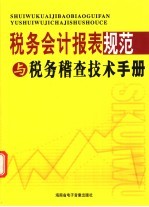 税务会计报表规范与税务稽查技术手册 1