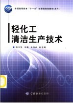 轻化工精洁生产技术