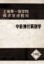 中枢神经解剖学 1982