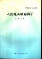 济南经济社会调研 1993年