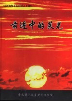前进中的莱芜
