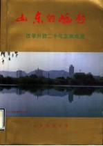 山东的崛起:改革开放二十年发展成就