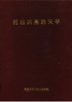 托起闪亮的天平:山东省济南市历下区人民法院巡礼