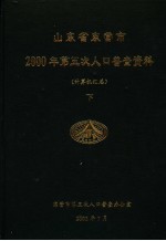 山东省东营市2000年第五次人口普查资料 计算机汇总 下