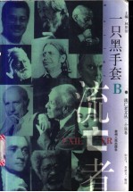 一只黑手套