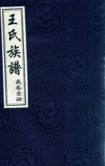 王氏族谱 义卷1册