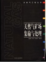 天然气矿场集输与处理
