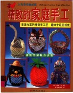 大鸟哥哥教折纸:精致的家庭手工