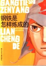 钢铁是怎样炼成的