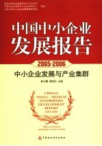 中国中小企业发展报告 2005-2006 中小企业发展与产业集群
