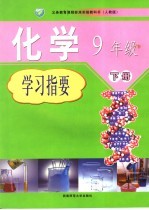 化学学习指要 人教版 九年级 下