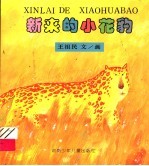 新来的小花豹